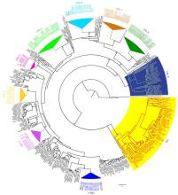 Potato Genome Browser addition